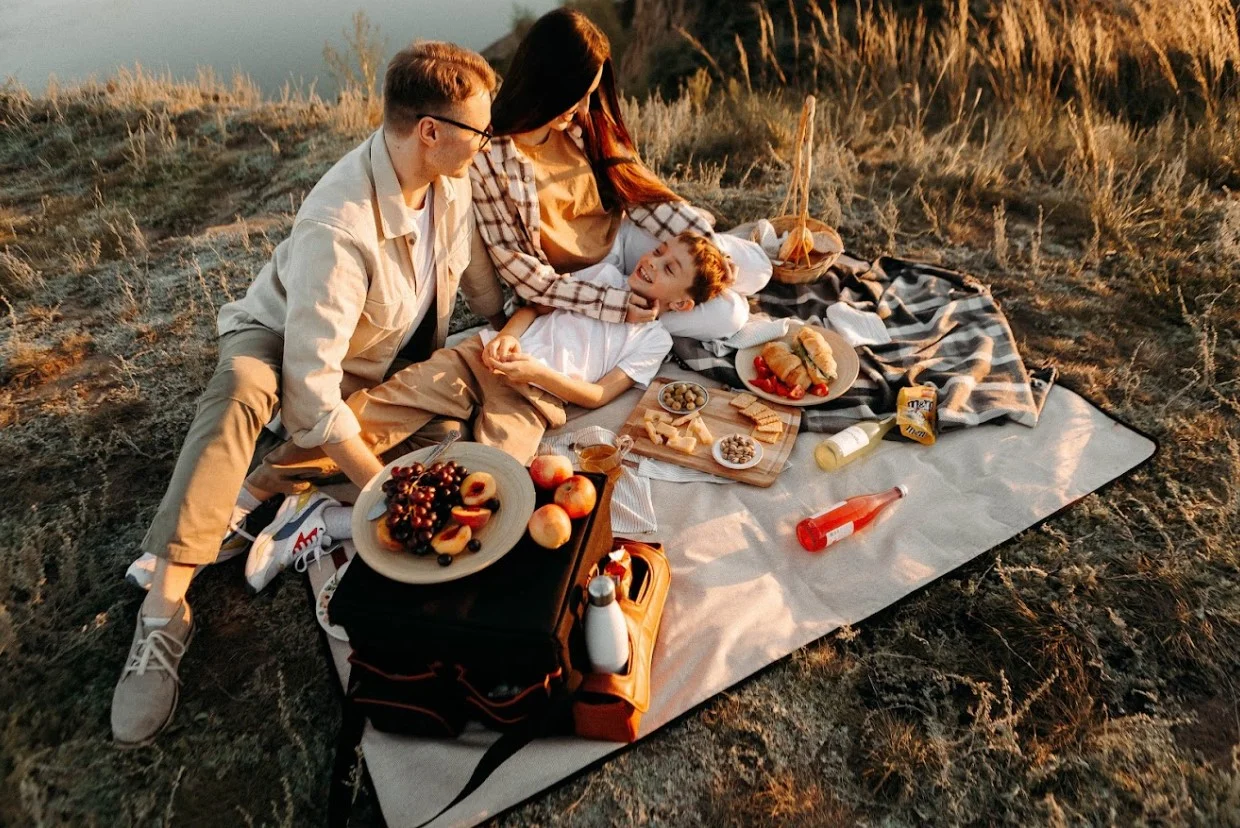 fold up picnic blanket