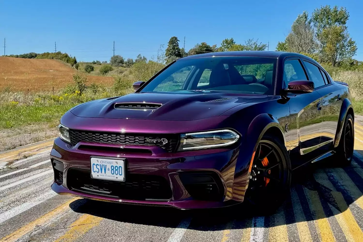 pet seat cover for Dodge Charger