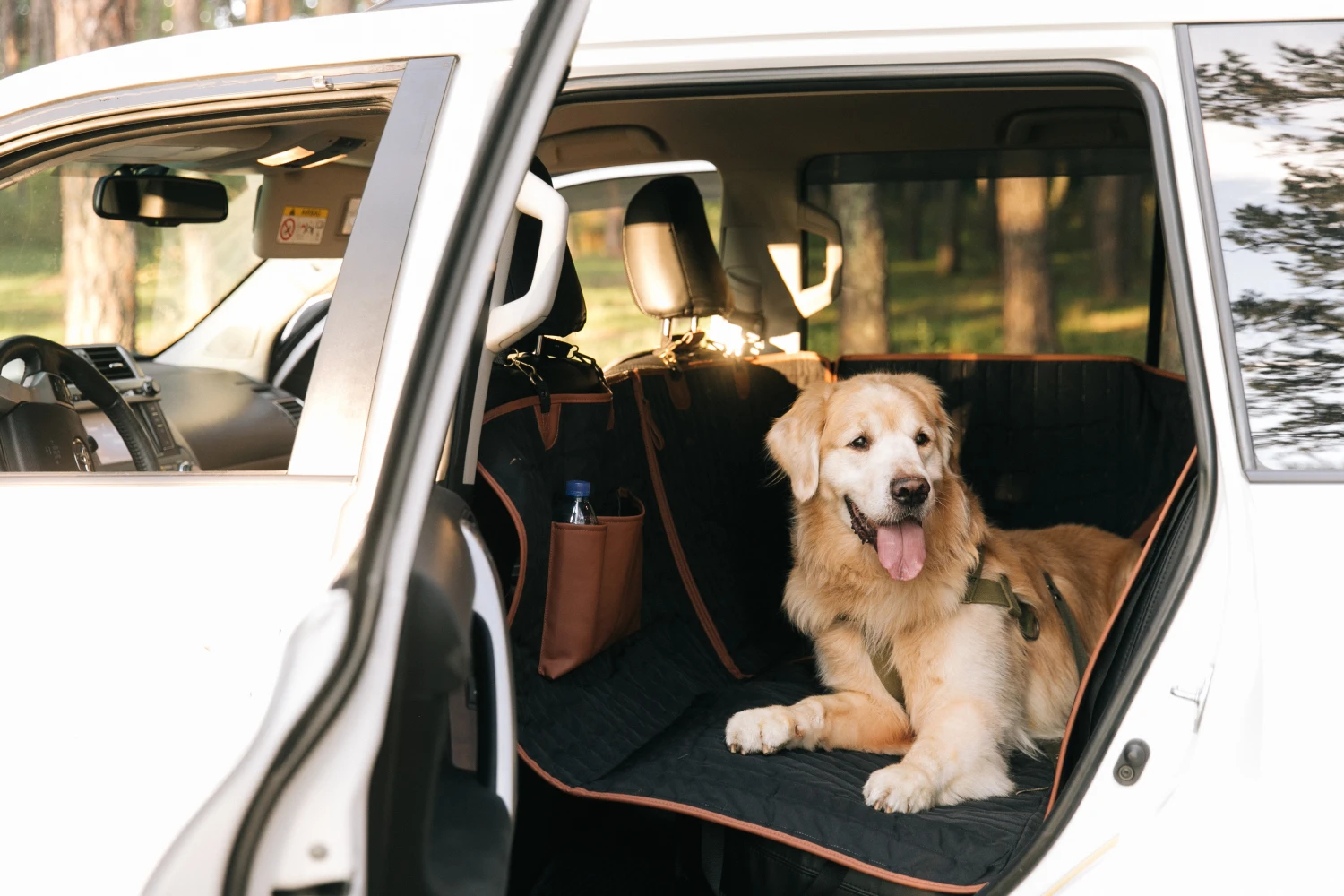 Cotons de Tulear back seat cover for Kia Rio