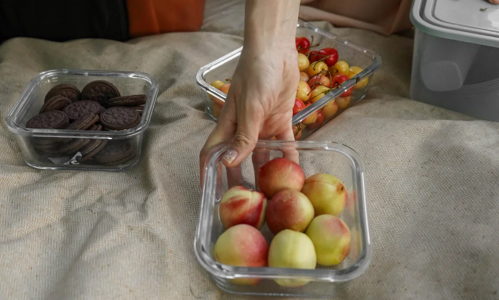 fold up picnic blanket