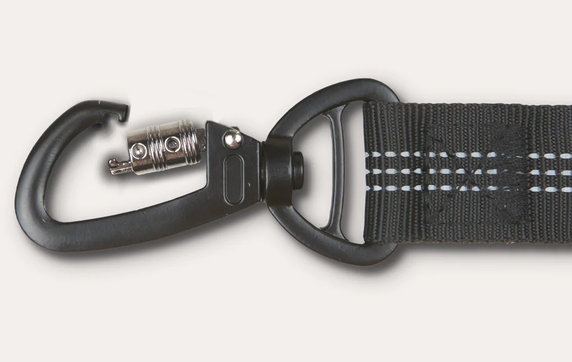 Ford F-Series Dog Safety Belt for English Cocker Spaniels